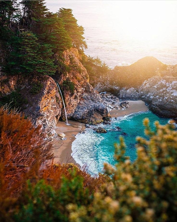 an aerial view of the ocean and beach with trees in the foreground at sunset