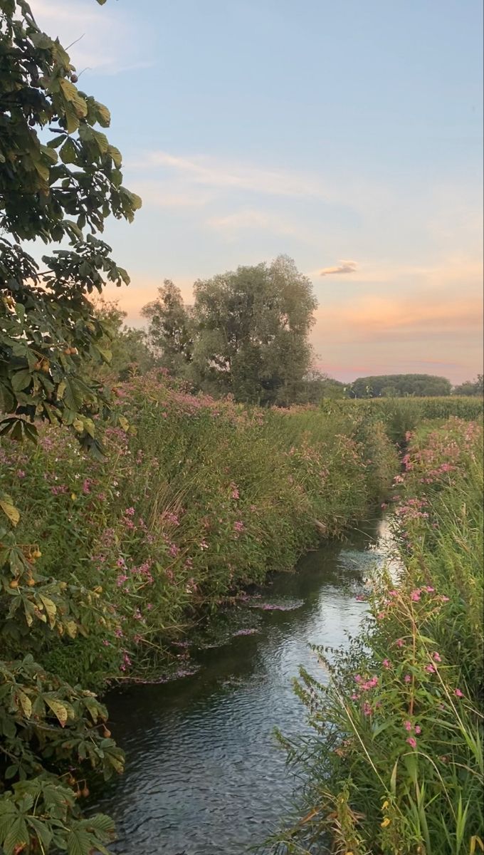 a river running through a lush green field next to tall grass and flowers in the foreground