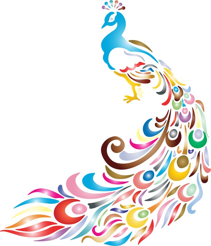 a colorful peacock is shown on a white background