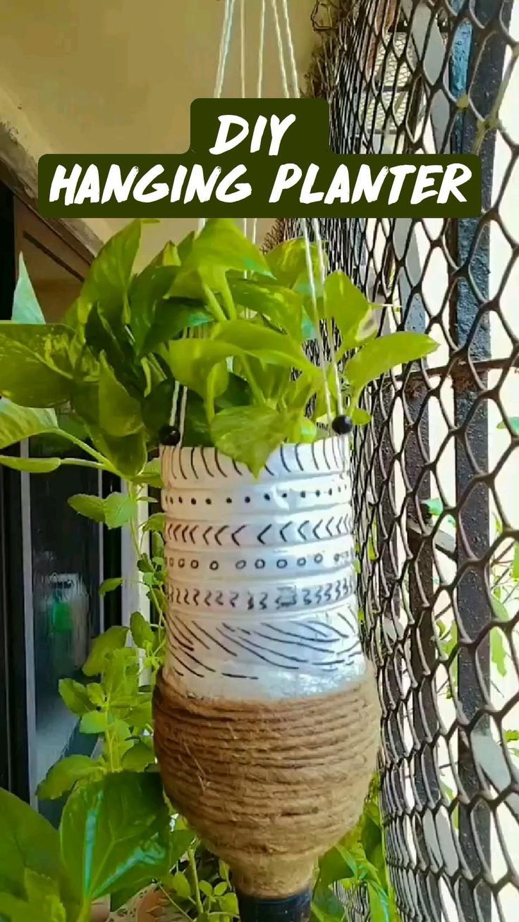 a hanging planter with plants in it and the words, diy hanging planter