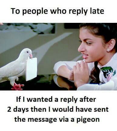 a girl is looking at a pigeon on her lap and the caption reads, to people who reply late if i wanted a reply after 2 days then would have sent the message via a pigeon