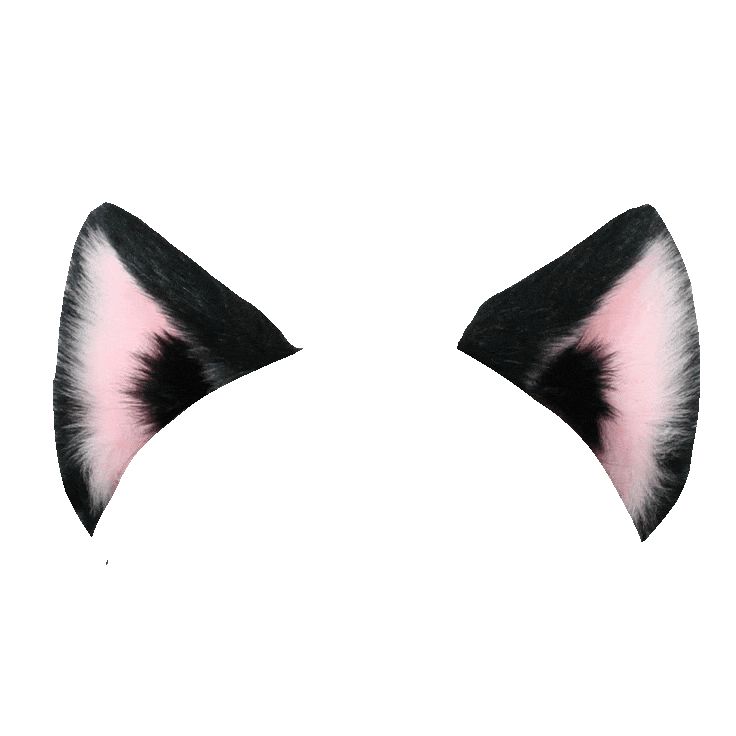 the cat ears are black and white with pink tips