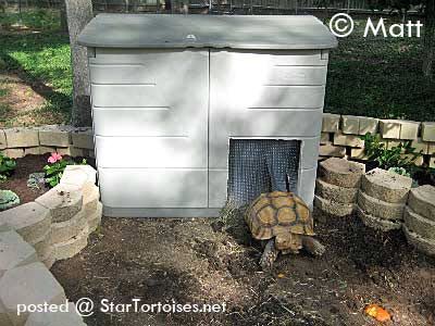 there is a tortoise sitting in the yard next to a shed and fence