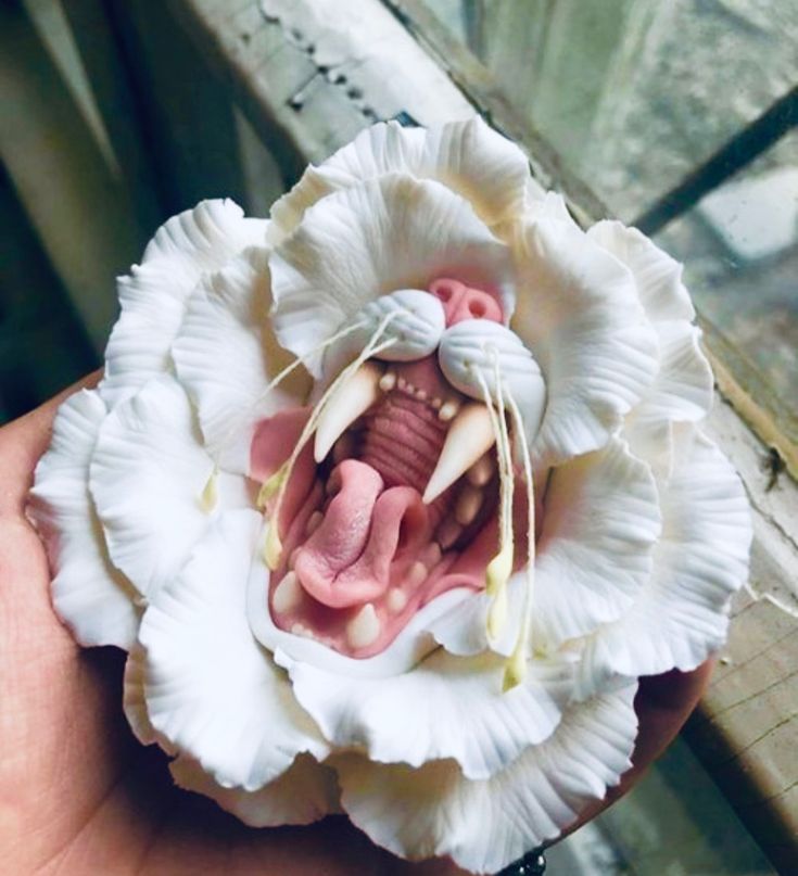 a hand holding a white flower with an animal's mouth and teeth in it