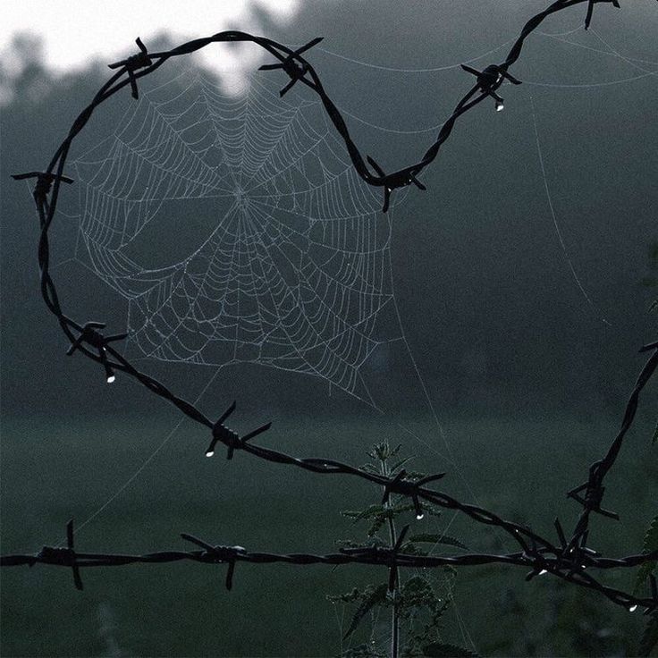 a spider web in the shape of a heart hanging from a barbed wire fence with rain drops on it