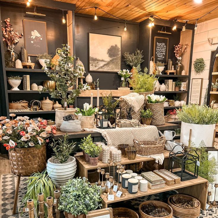 a room filled with lots of different types of potted plants and other things on display