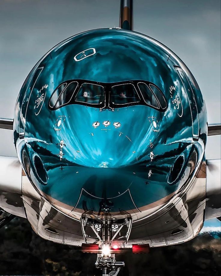 the nose of an airplane with its reflection in it