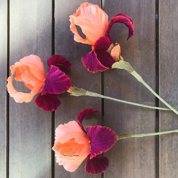 three pink and orange flowers sitting on top of a wooden table next to each other