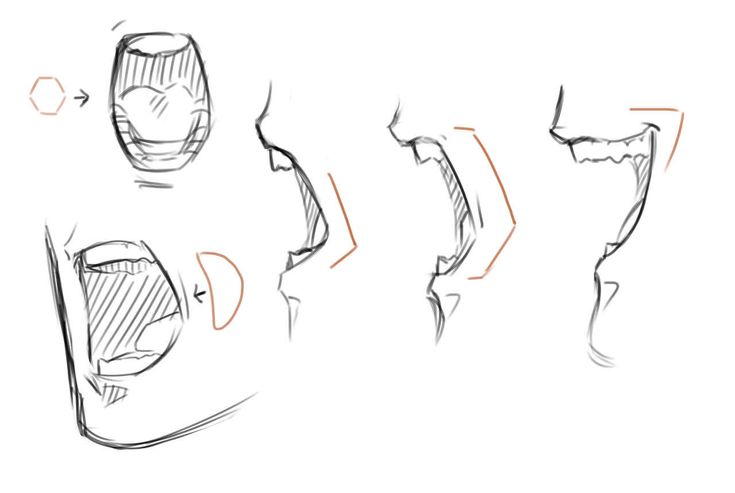 the steps to drawing an arm and hand