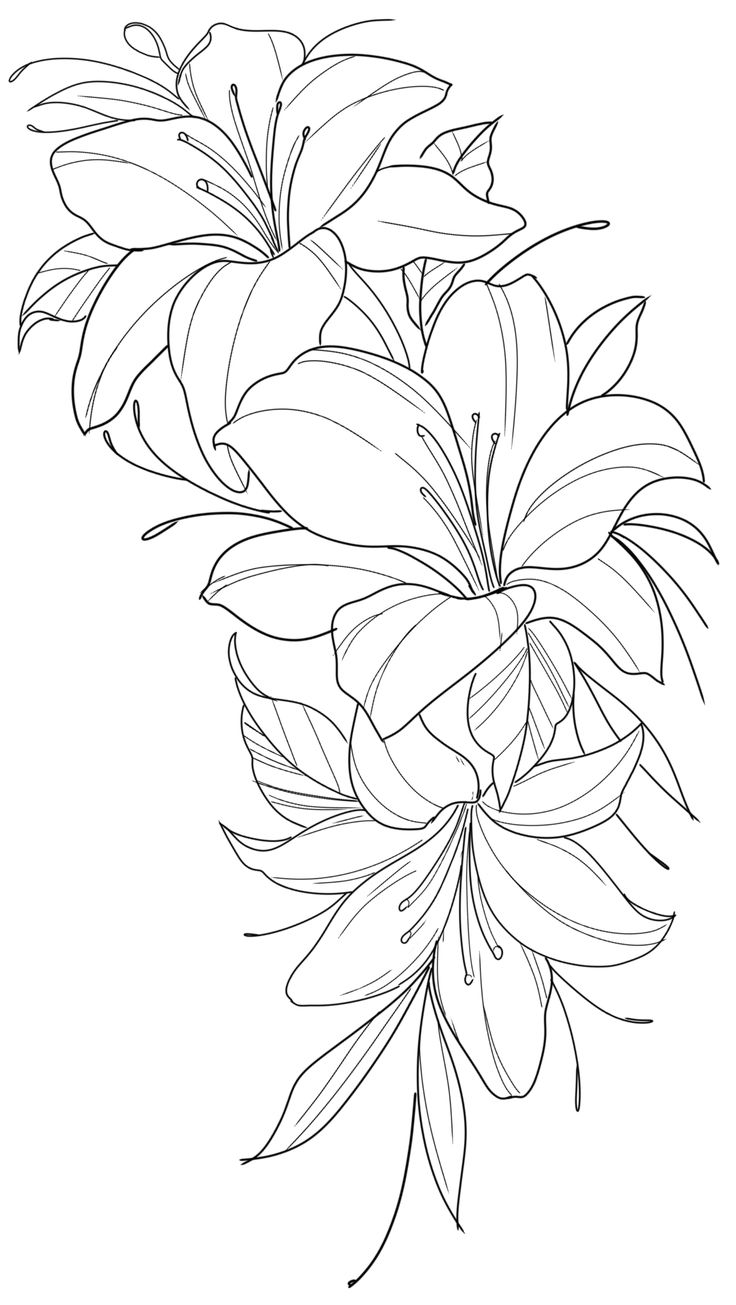 a bouquet of flowers is shown in black and white, as well as an outline drawing