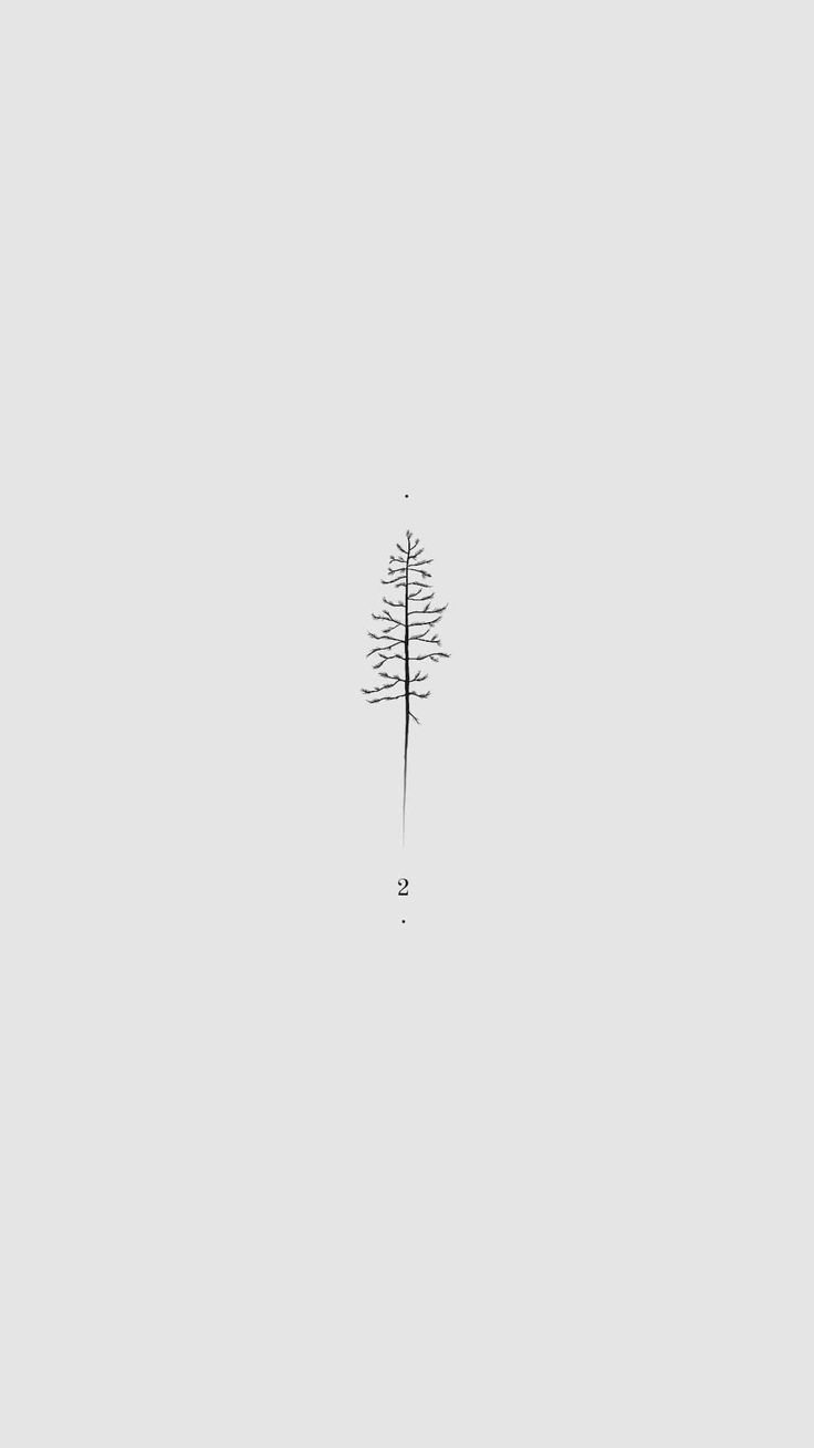 Tattoo no. 2 | Pine tree | Tamarack Inner Arm Tattoo Placement, White Pine Tree Tattoo, Fine Line Pine Tree Tattoo, Natural Tattoos, Birch Tree Tattoos, Small Nature Tattoo, Simple Tree Tattoo, Pen Logo, Pine Tattoo