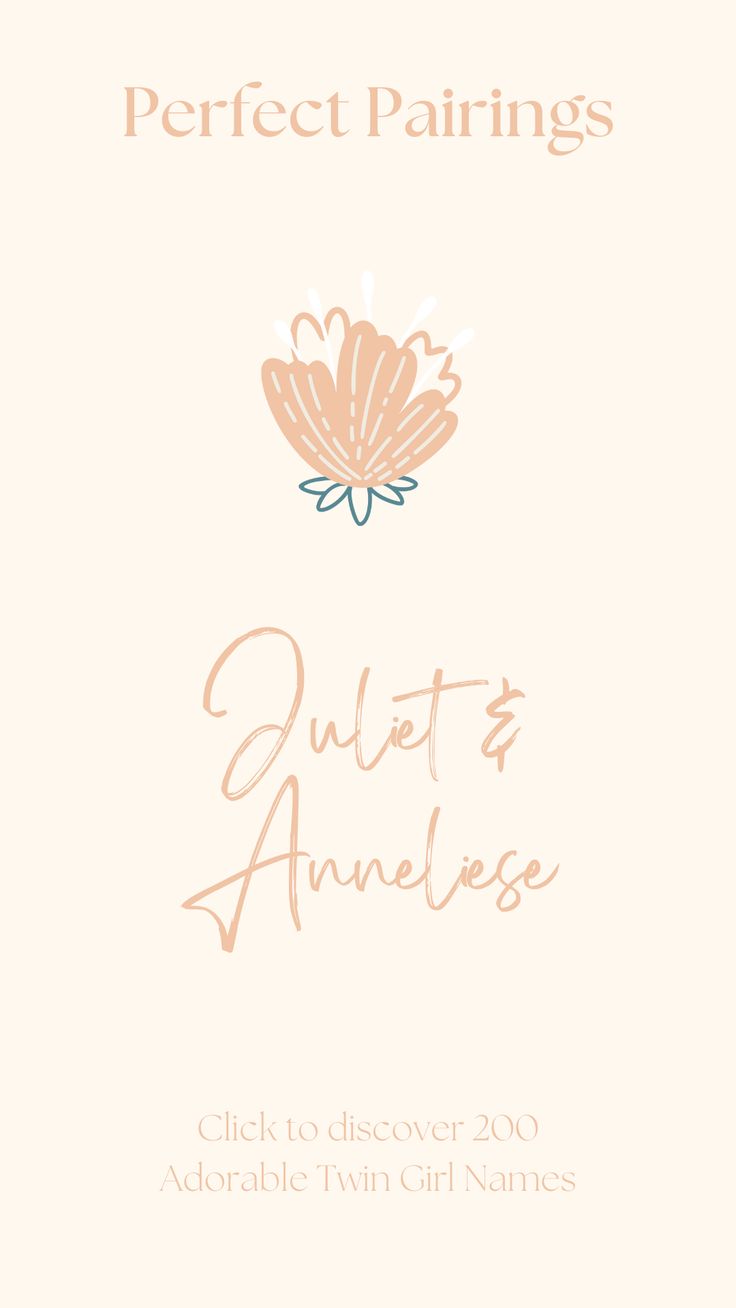 the front cover of perfect pairings quilts and anisee by adorable twin girl names