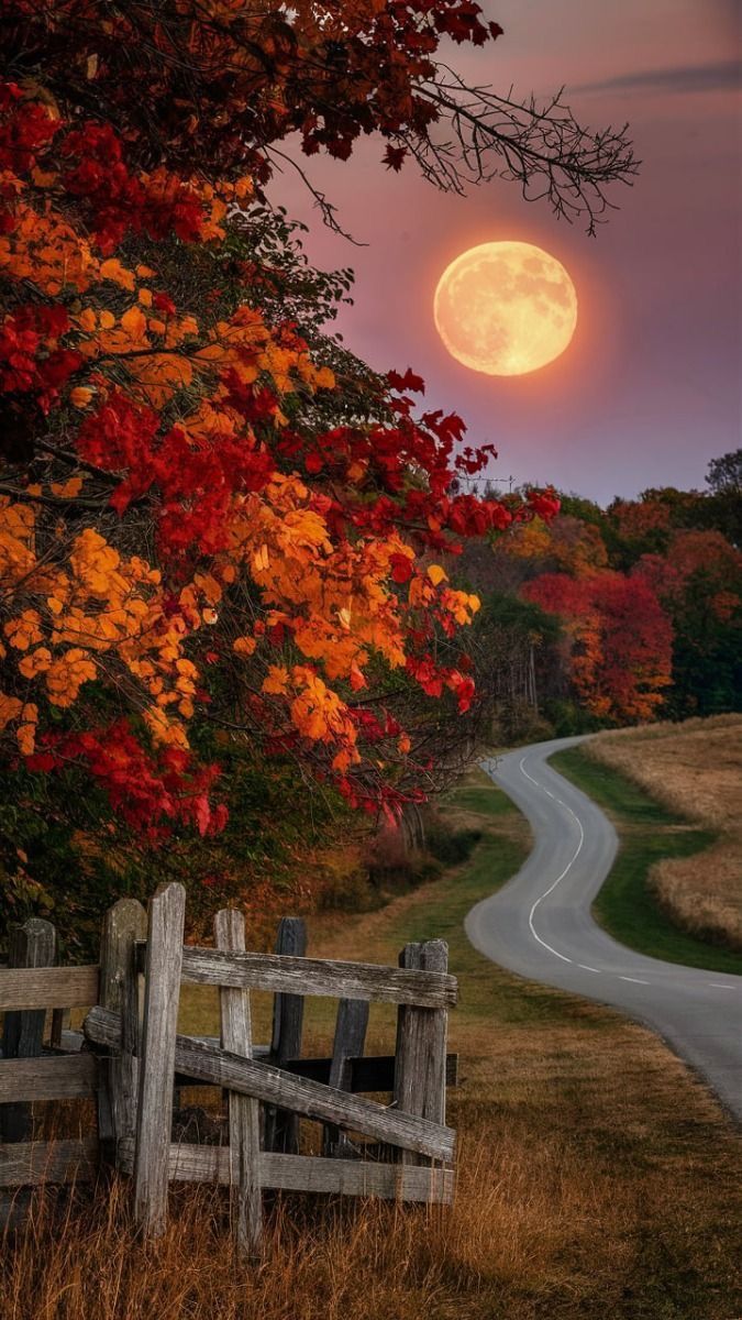 the full moon is setting over a country road and trees with autumn leaves on it