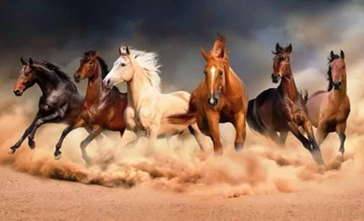 four horses running in the sand on a cloudy day