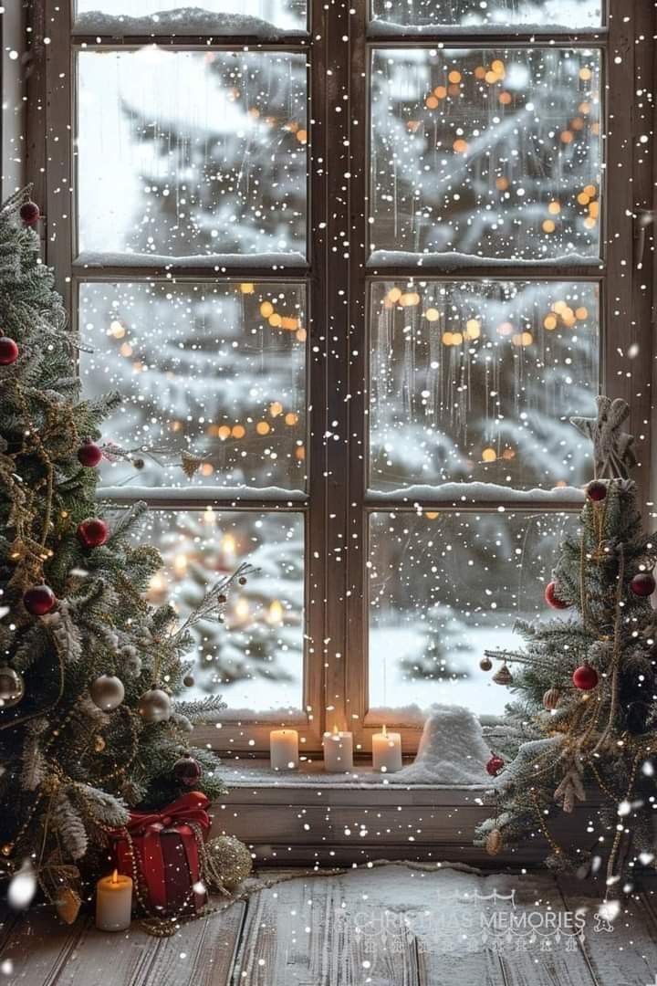 two christmas trees sitting in front of a window with snow falling on the windowsill