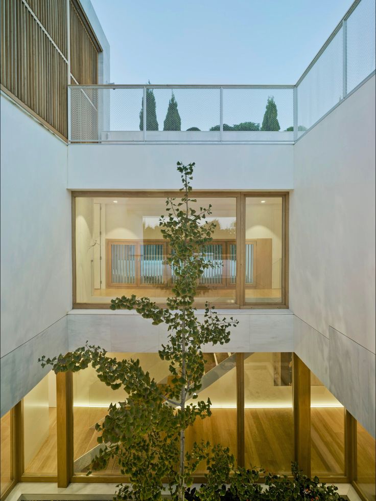 a tree in the middle of a room with glass doors and windows on both sides