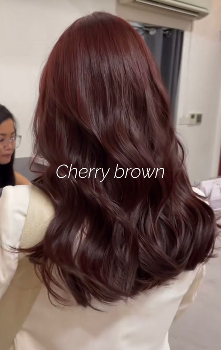 Hair Color For Chinese Women, Hair Colors That Grow Out Well, Rustic Brown Hair Color, Red Brown Shag Hair, Hair Color That Makes Your Skin Lighter, Popular Korean Hair Color, Cool Tone Red Brown Hair, Medium Brown Red Hair Color, Subtle Cherry Red Hair