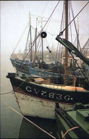 there are many boats that are docked in the water on this foggy day,