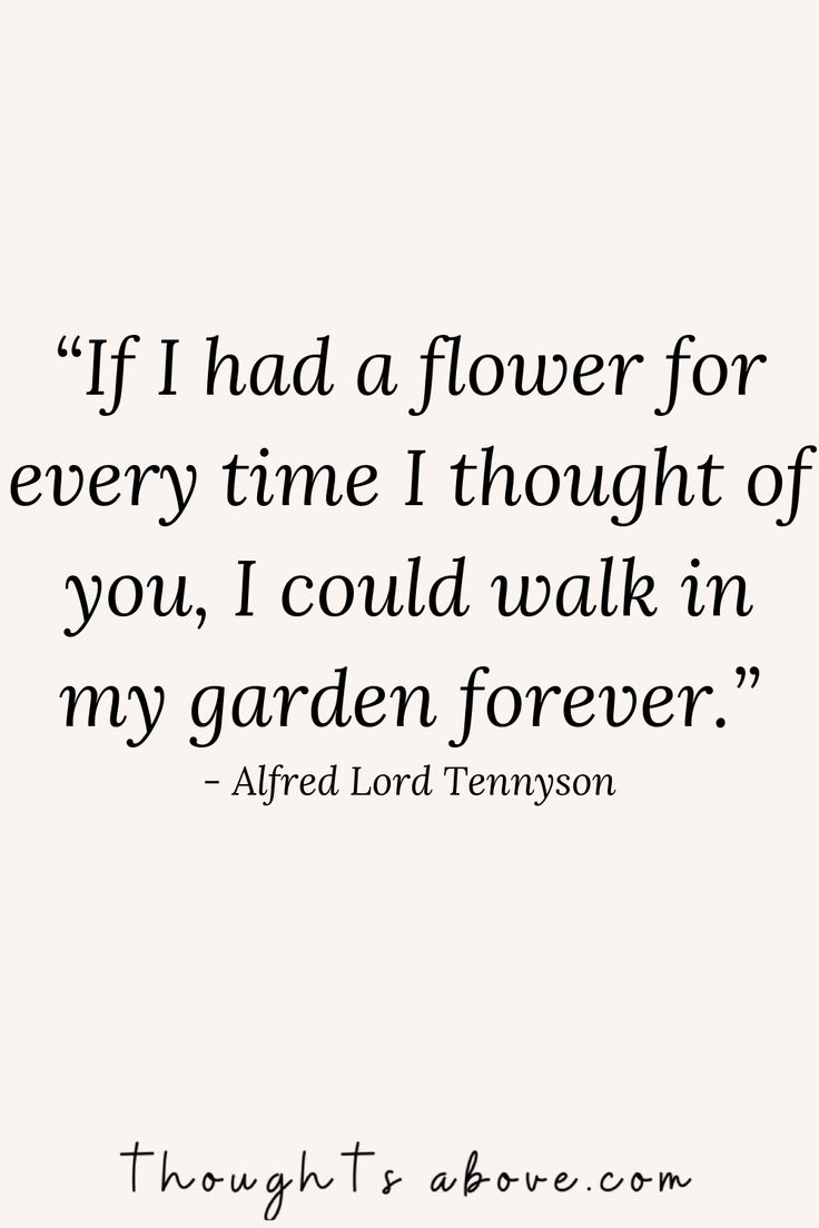 a quote that reads if i had a flower for every time thought of you, i could walk in my garden forever