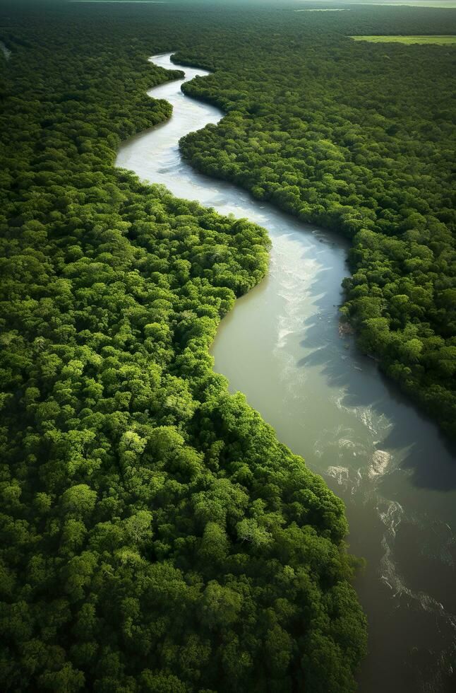 an aerial view of a river running through a lush green forest