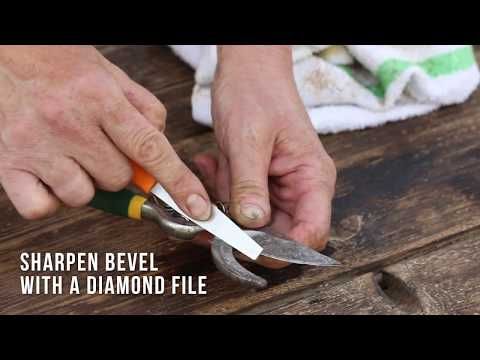 a man is holding a pair of scissors with a diamond file in his hand and the words sharpen level with a diamond file