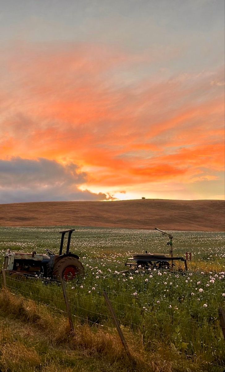 country barn summer farm autumn summer sunset aesthetic Tractor Sunset, Minimalist Things, Southern Aesthetic, Country Sunset, Country Backgrounds, Country Photography, Farm Lifestyle, Country Lifestyle, Look At The Sky