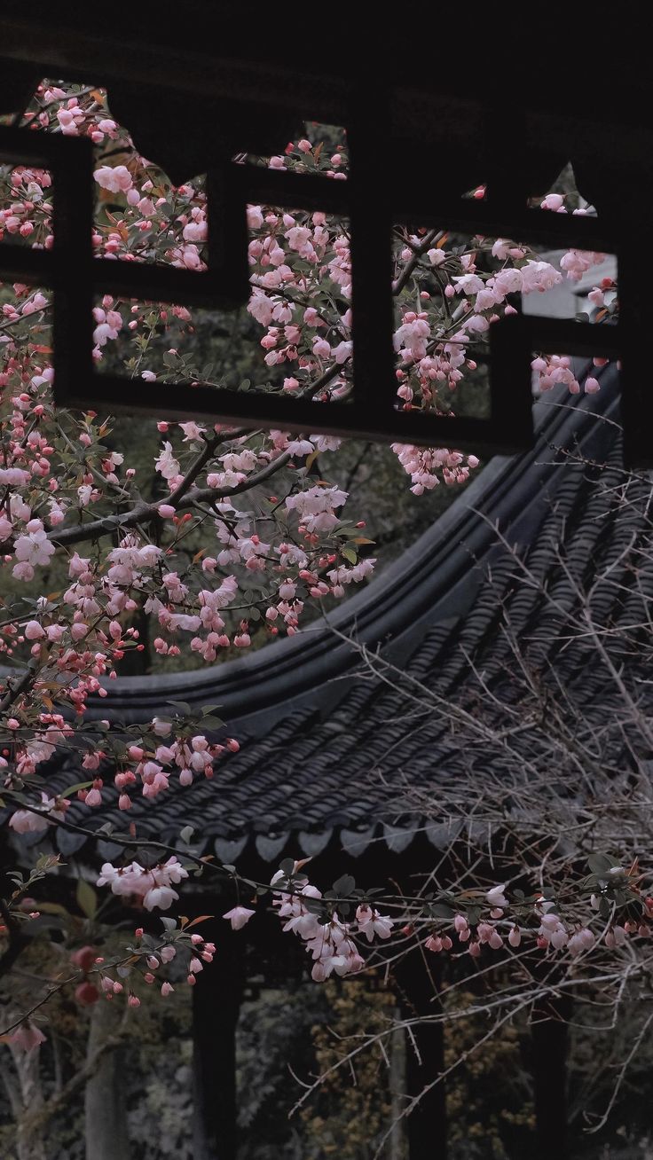 Wallpaper Japan Aesthetic, Cherry Blossom Night Aesthetic, Cherry Blossom Japan Aesthetic, Sakura Trees Aesthetic, Cherry Blossom Dark Background, Japan Aesthetic Cherry Blossoms, Aesthetic Japan, Japan Aesthetic, Nothing But Flowers