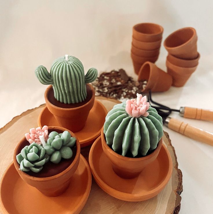 three clay cactus pots sitting on top of a wooden table