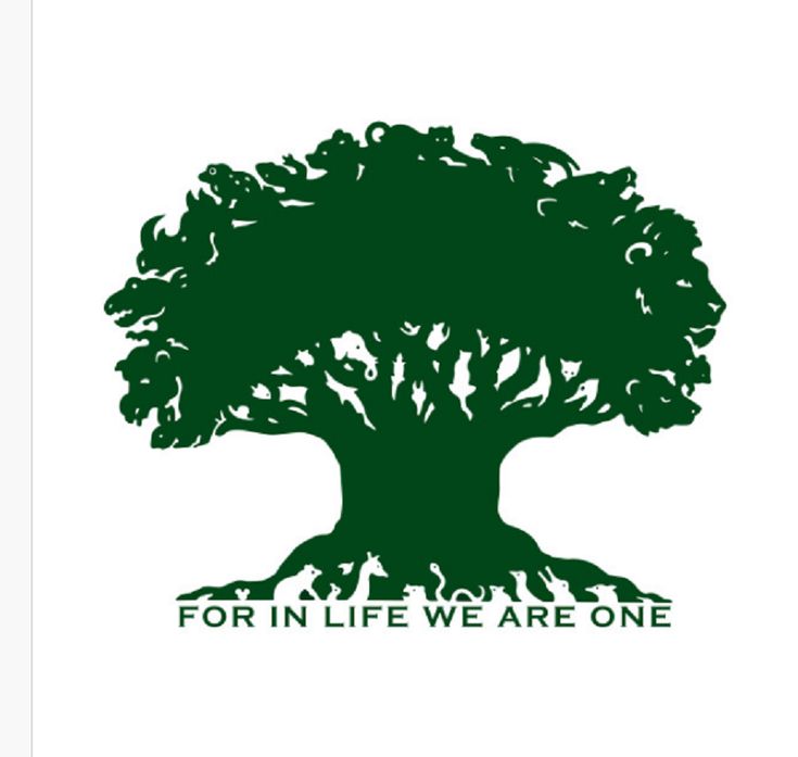 a tree with the words for in life we are one