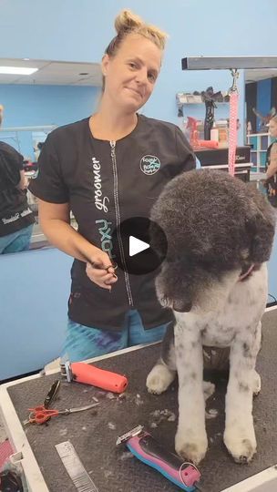 a woman standing next to a gray and white dog on top of a hair salon table