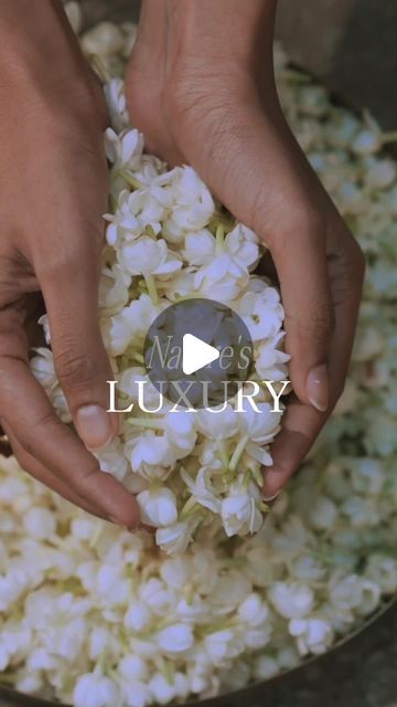 FloraSoul on Instagram: "FloraSoul is a blissful blend of - ⁠ ⁠ 🌺 Ayurveda's Essence:⁠ Stands firm, embracing Ayurveda as its core and pioneering traditions with formulations that confidently embody the time-honored wisdom of natural skincare evolution.⁠ ⁠ 🌿 Nature’s Luxury:⁠ Redefining luxury with unapologetic naturalness, epitomizing grandeur for conscientious indulgence, confidently setting trends in the world of plant-based luxury.⁠ ⁠ 🧪 Science-backed Innovation:⁠ Harmoniously blends Ayurvedic tradition and scientific efficacy to create avant-garde formulations for exceptional skincare performance.⁠ ⁠ 🙏🏻 Holistic Well-being:⁠ Embodies a lifestyle of well-being, not a trend, with formulations that blend skincare and self-care for a poised stride towards holistic well-being.⁠ ⁠ 💧Pr Skin Care Video Ideas, Skincare Video Ideas, Remedy For Itchy Skin, Skincare Photoshoot Ideas, Ayurvedic Skin Care, Product Photoshoot, Products Photography, Plant Based Skincare, Herbal Products