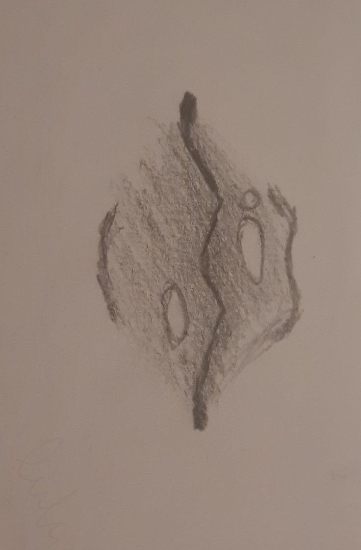 a pencil drawing of an object on paper