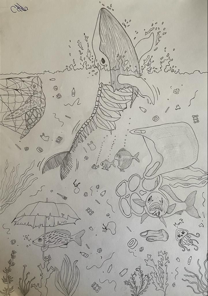 a drawing of a whale swimming in the ocean surrounded by fish and other marine life