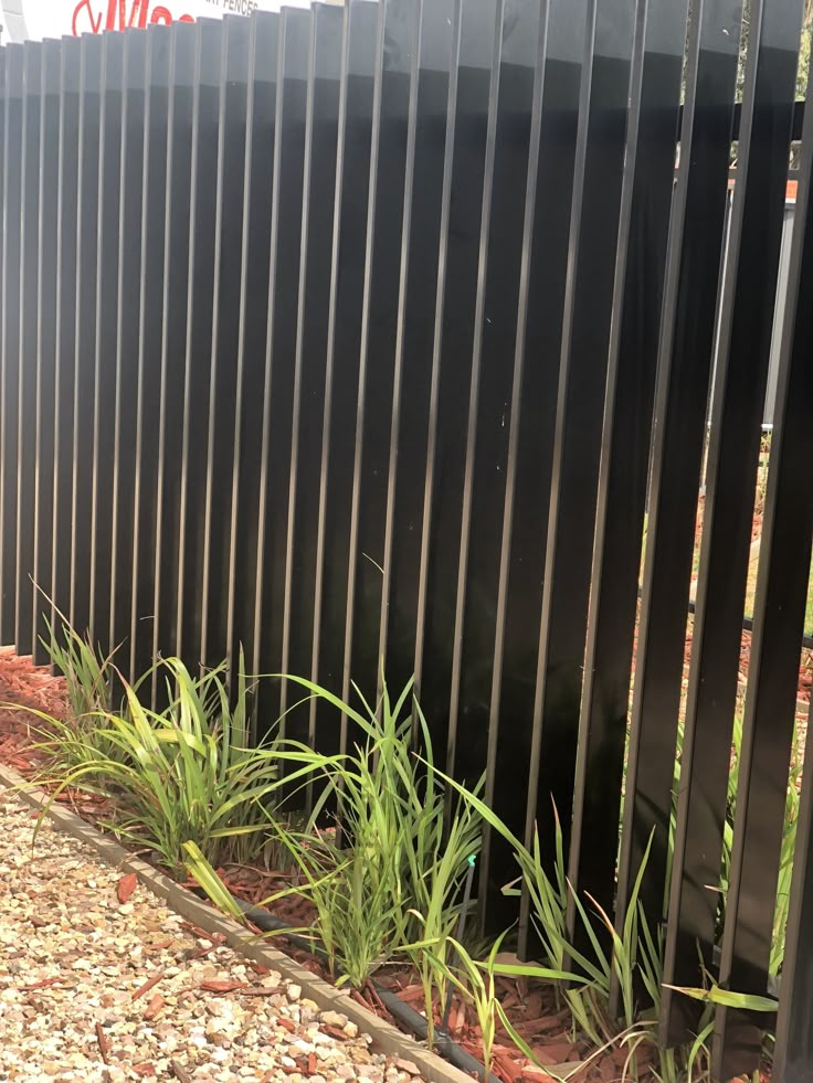 grass growing between two black fences in front of a building