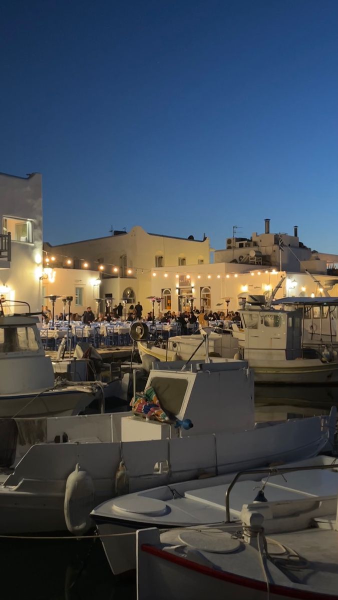 many boats are docked in the harbor at night