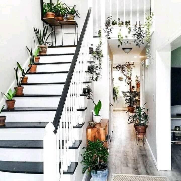 a staircase with potted plants next to it