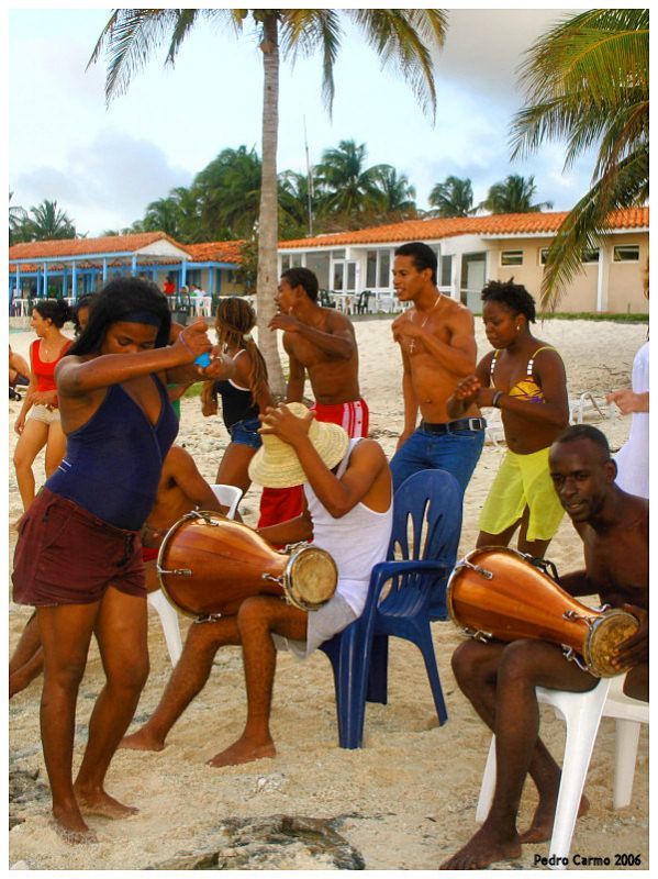 a group of men playing musical instruments on the beach with palm trees in the background