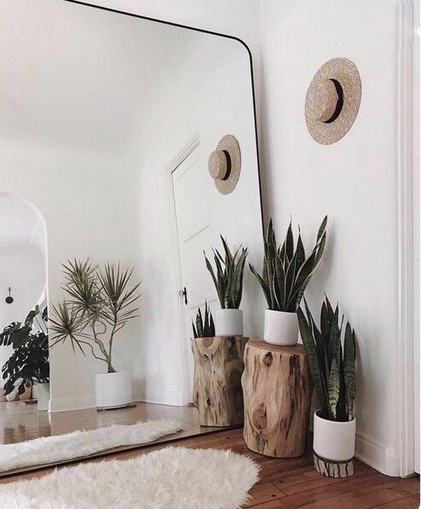 some plants and mirrors in a room