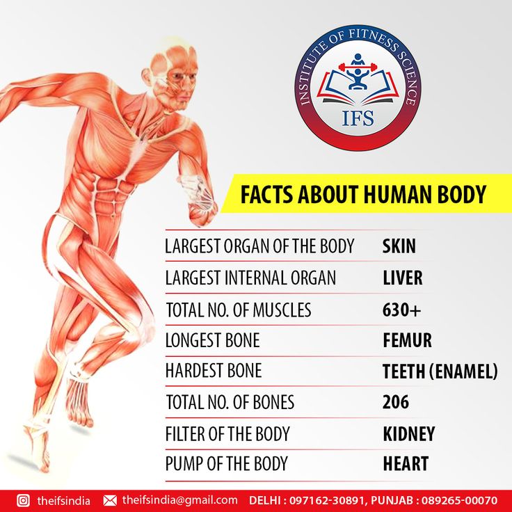 an image of the human body with information about it's functions and description in english