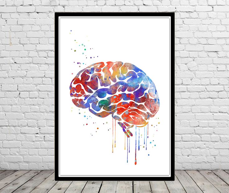 a watercolor painting of a brain on a white brick wall in front of a wooden floor