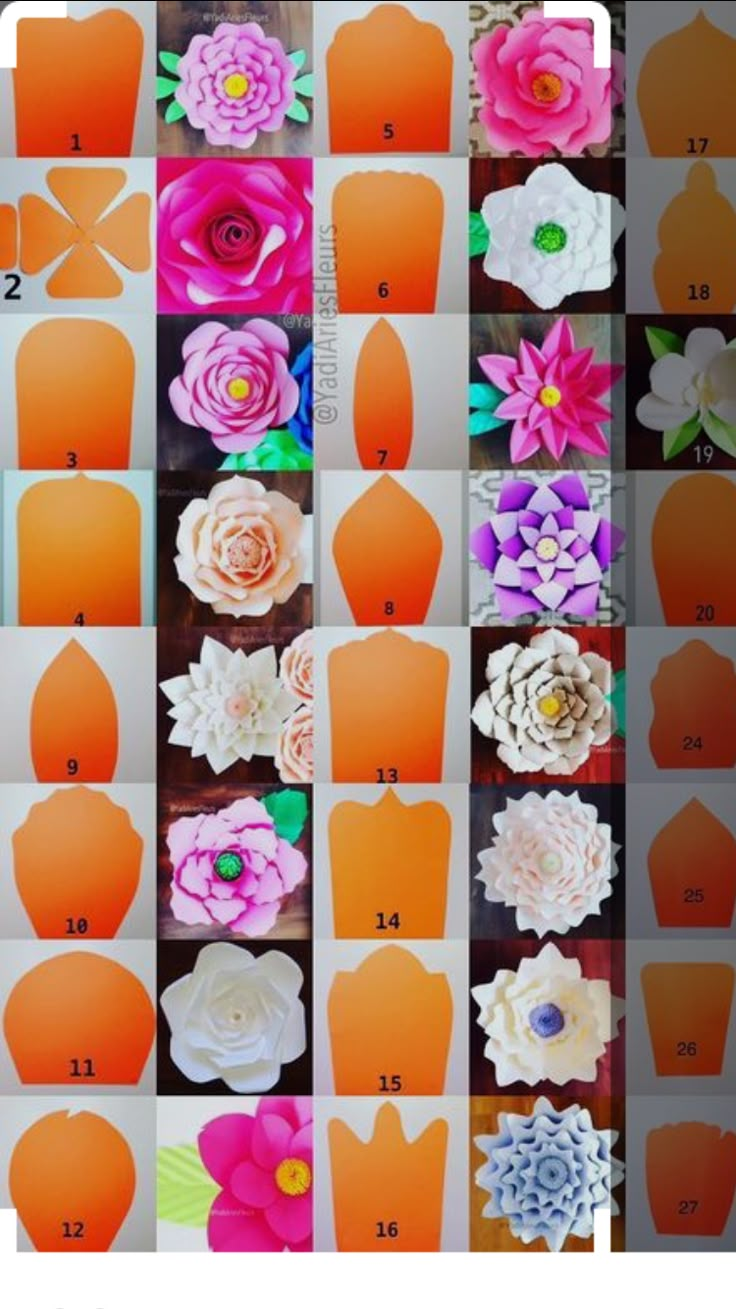 the instructions for making paper flowers in different shapes and sizes, with pictures of them