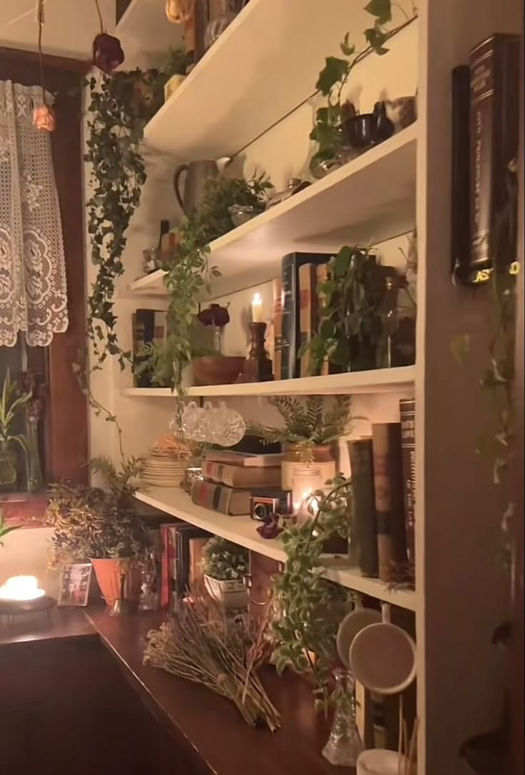 a room filled with lots of books and plants next to a window covered in lace