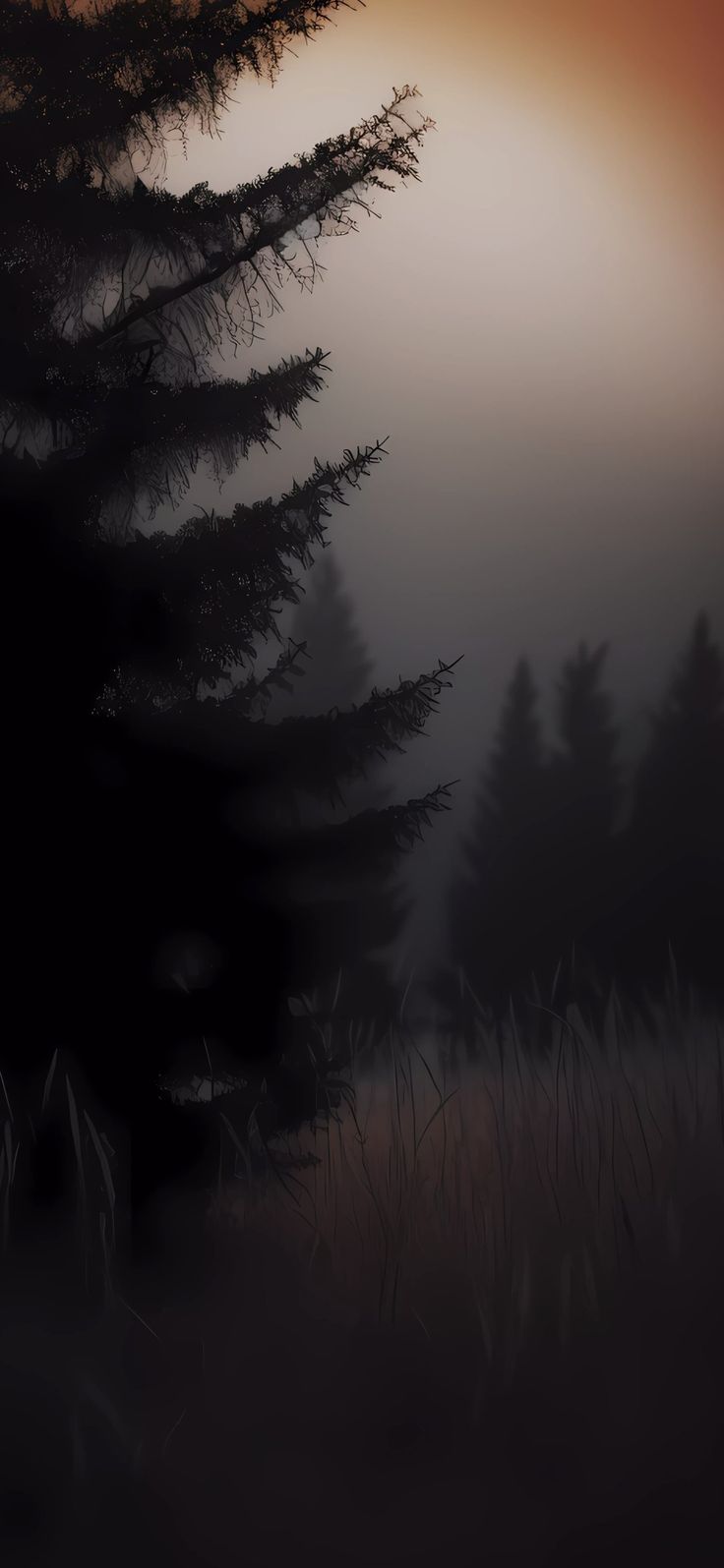 the sun is setting behind some trees in the foggy field with tall grass and bushes