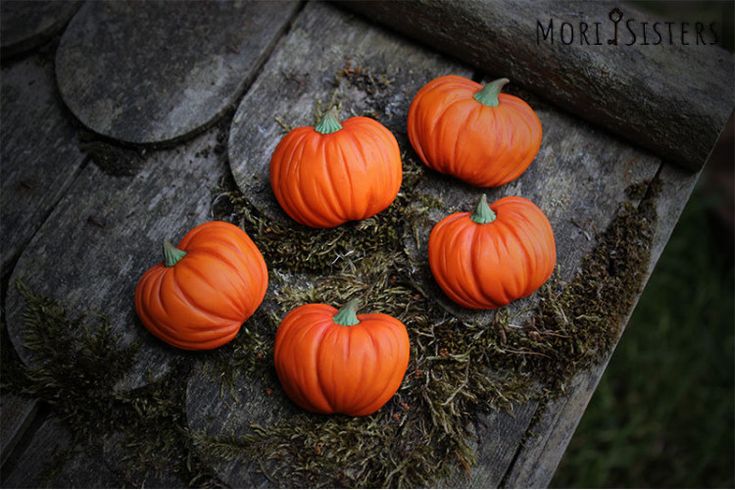 four small pumpkins sitting on top of a piece of wood next to moss covered ground