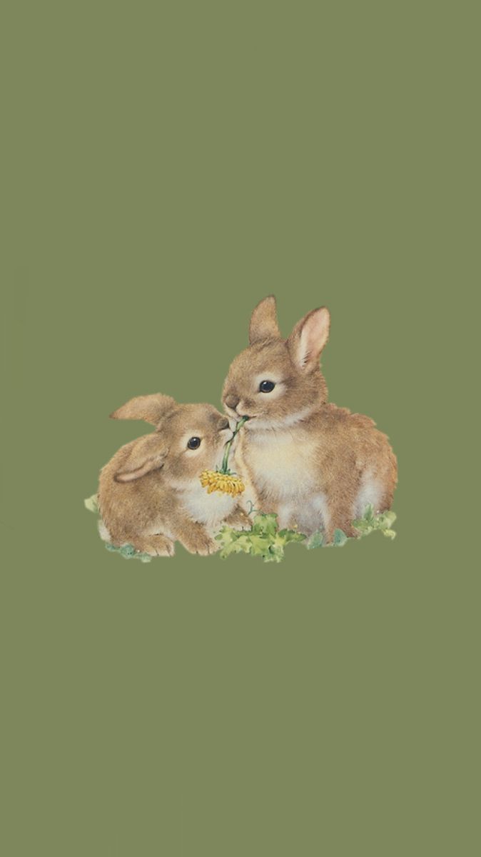 two rabbits sitting next to each other on top of green grass with flowers in their mouths