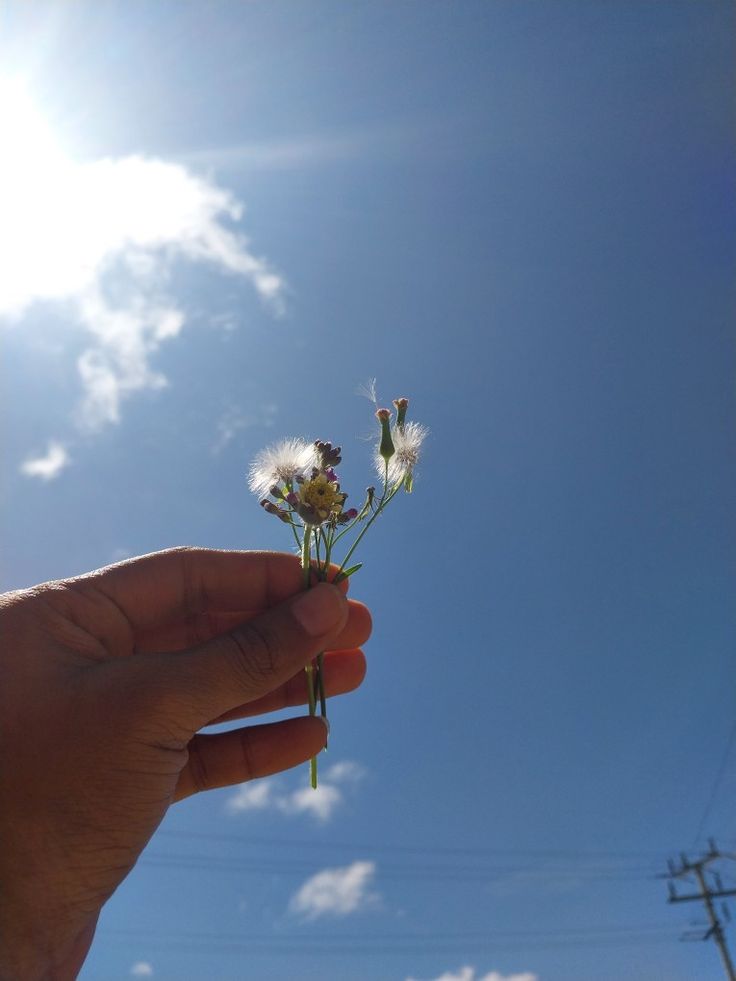 a hand holding up a dandelion in front of a blue sky with clouds