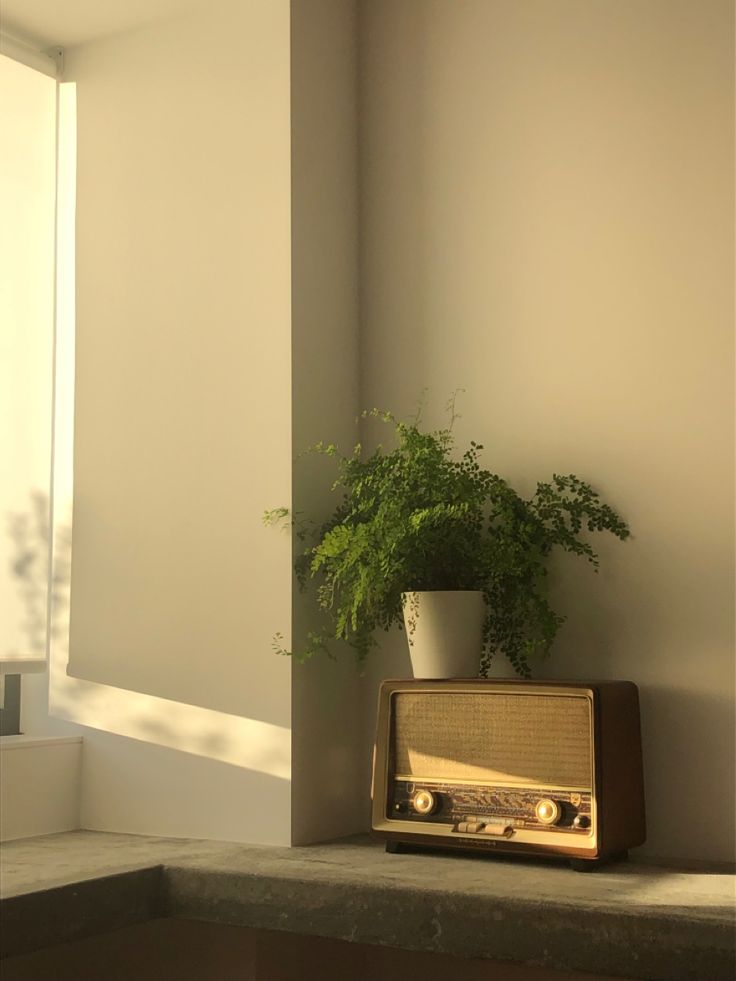 an old radio sitting on top of a shelf next to a plant in a pot