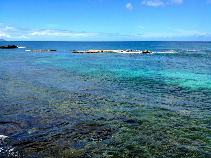 the water is very clear and blue with green algae growing on it's sides