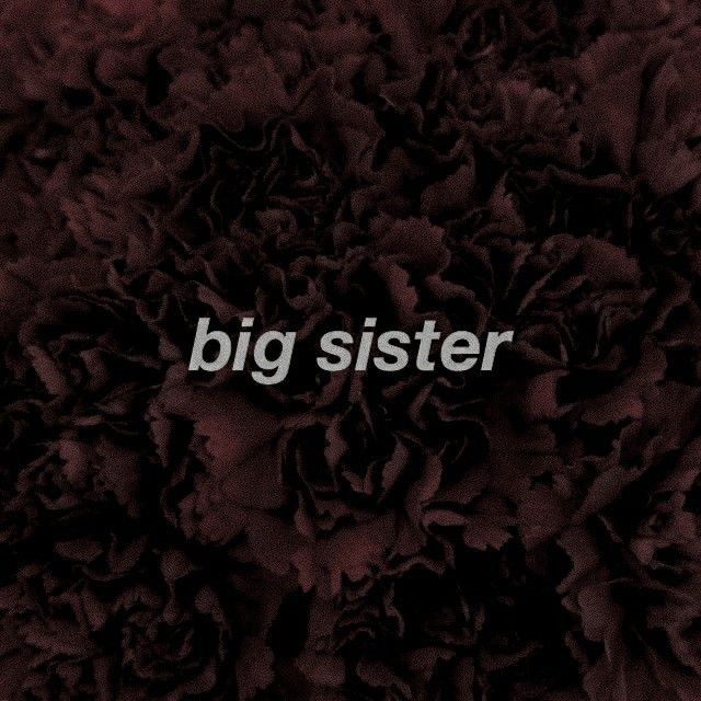 the word big sister written in white letters on a dark red background with large flowers