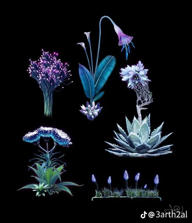 various plants and flowers are shown in the dark